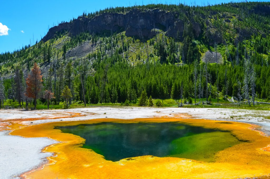Yellowstone Season 6: What Fans Can Expect From the Hit Western Drama yellowstone season 6