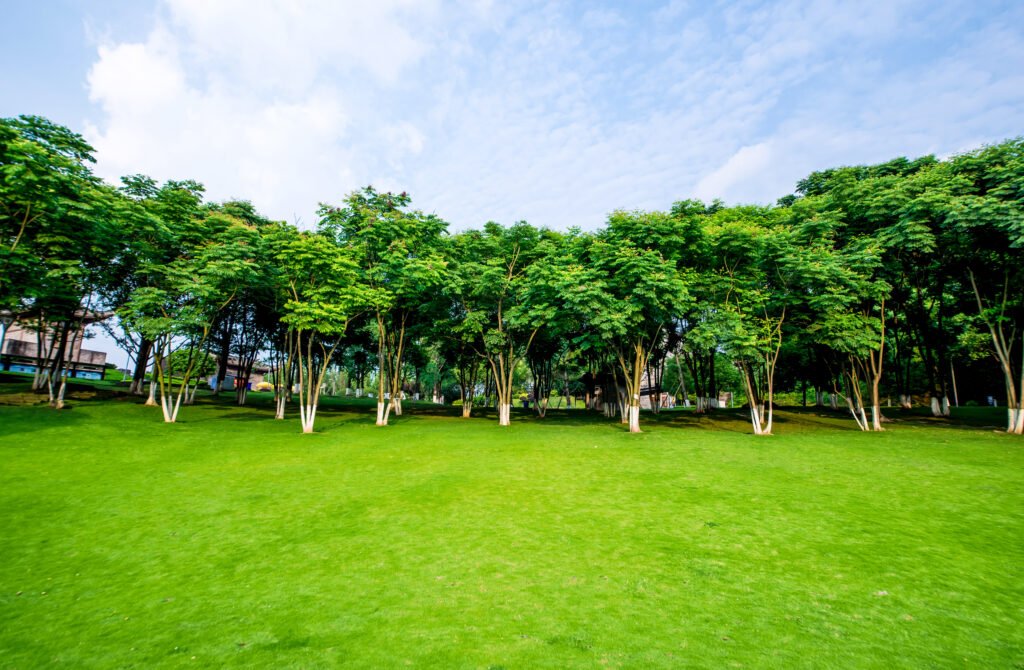 Janat-ul-Firdos: The Ultimate Reward in Paradise Janat-ul-Firdos